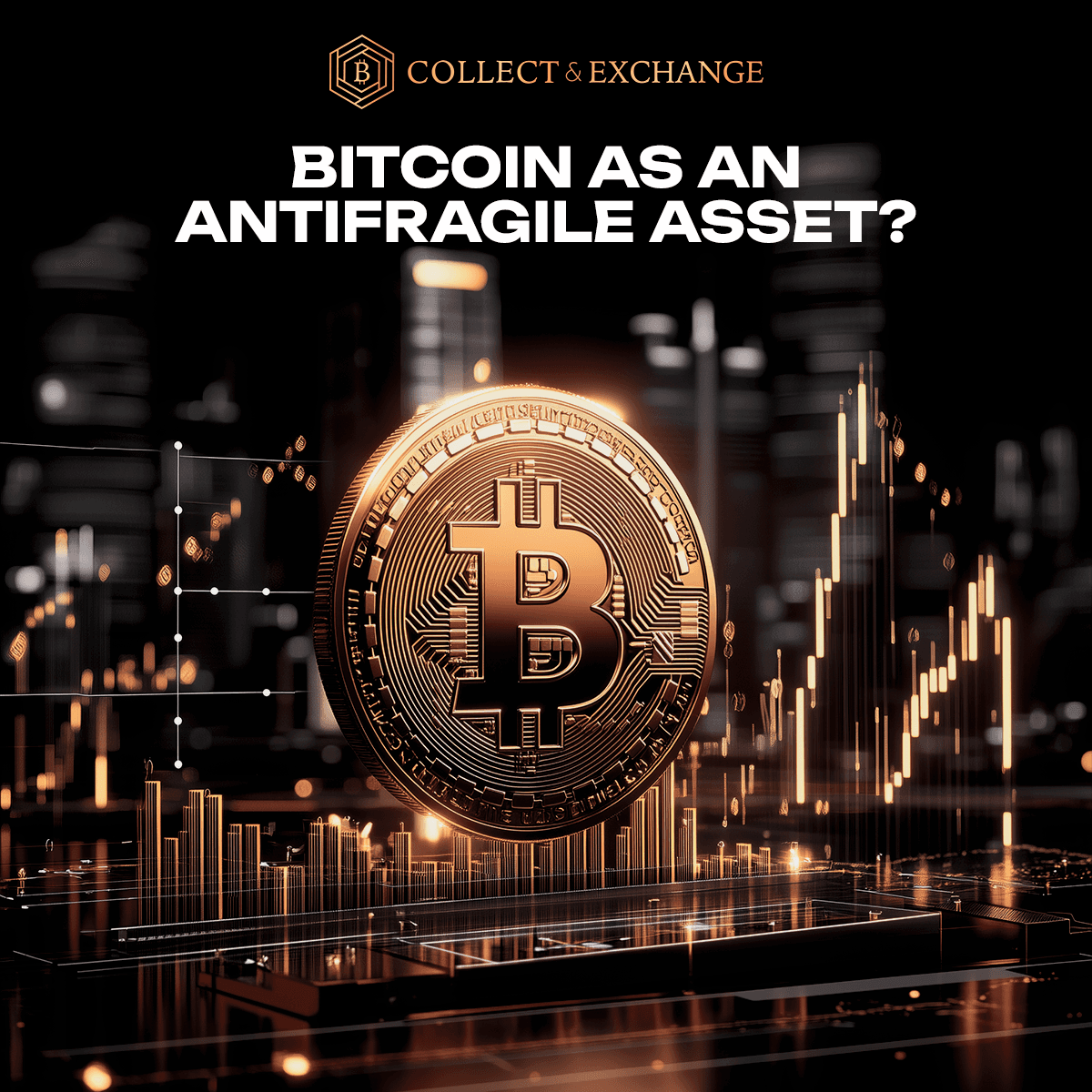 Bitcoin as an Antifragile Asset?