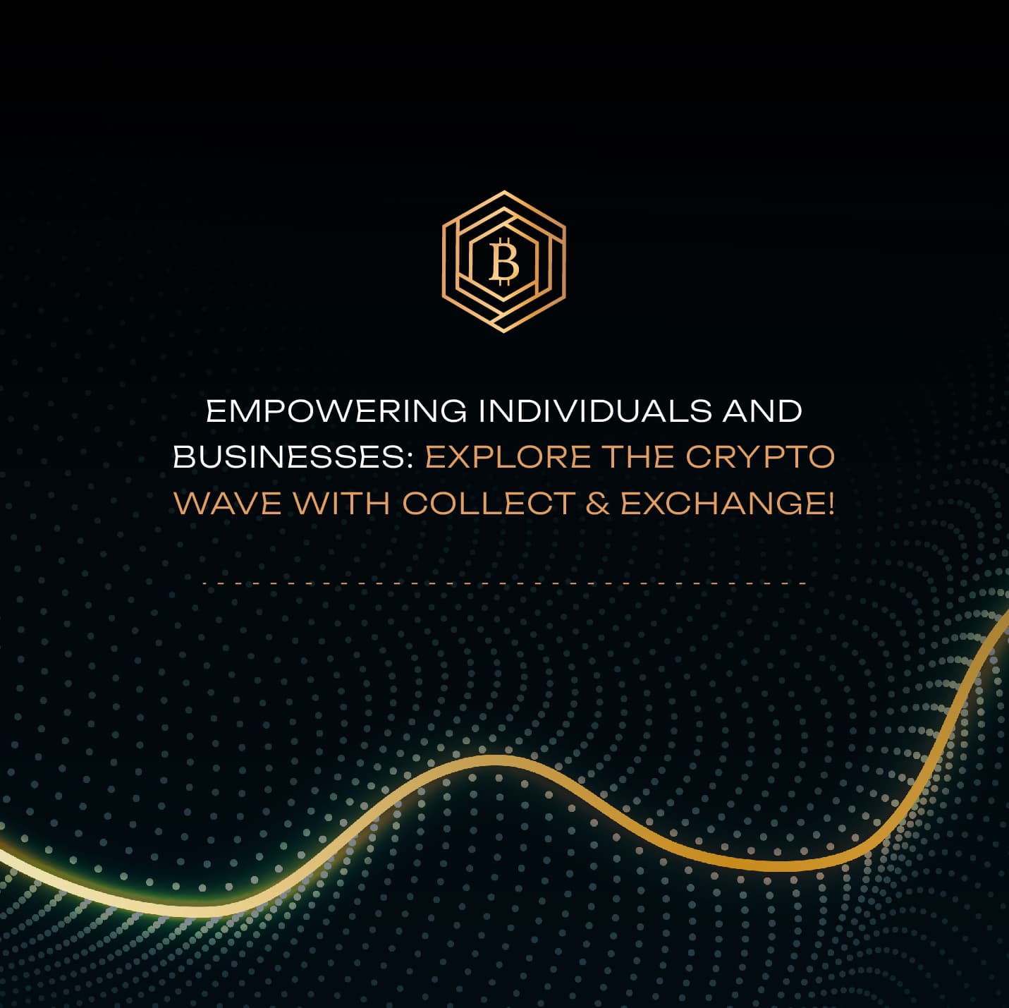 Empowering Individuals and Businesses: Explore the Crypto Wave with Collect & Exchange