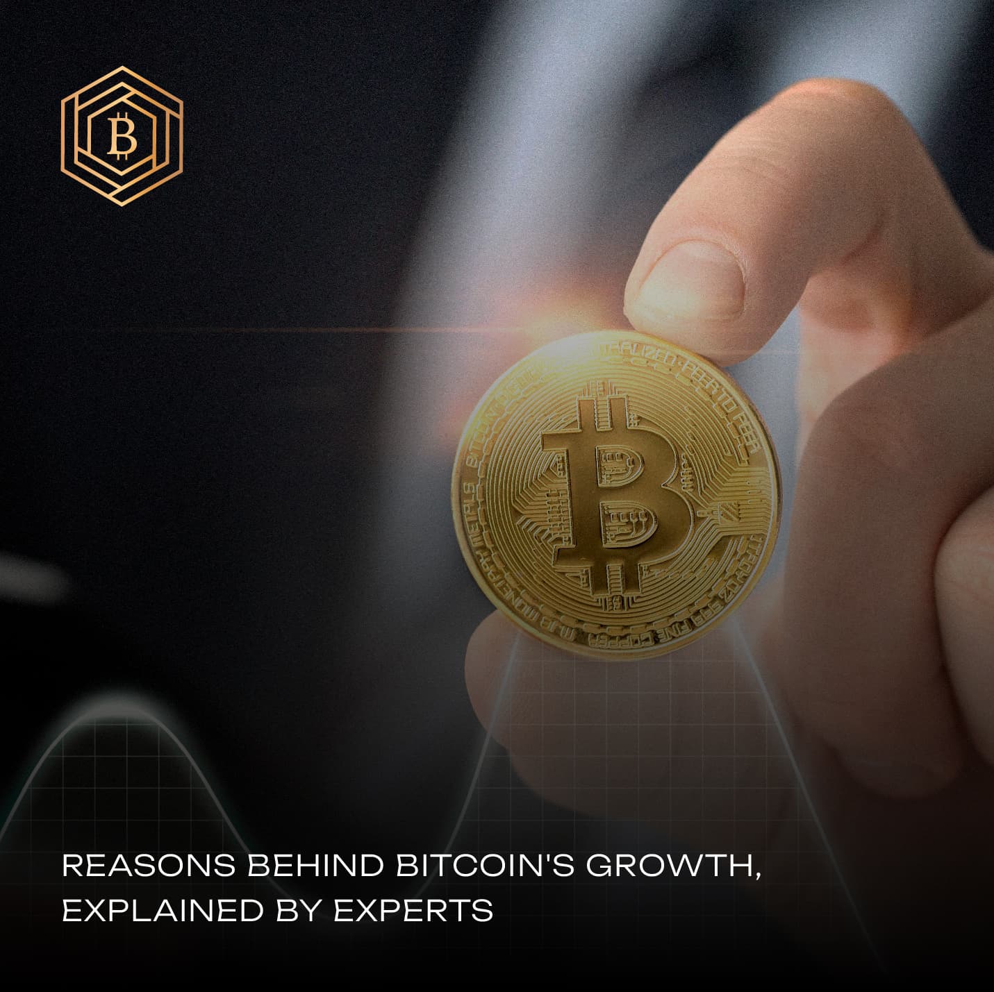 Reasons Behind Bitcoin's Growth, Explained by Experts